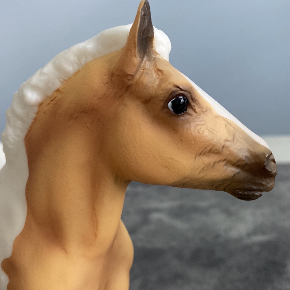 Breyer Creamsicle - Picture 8 of 14